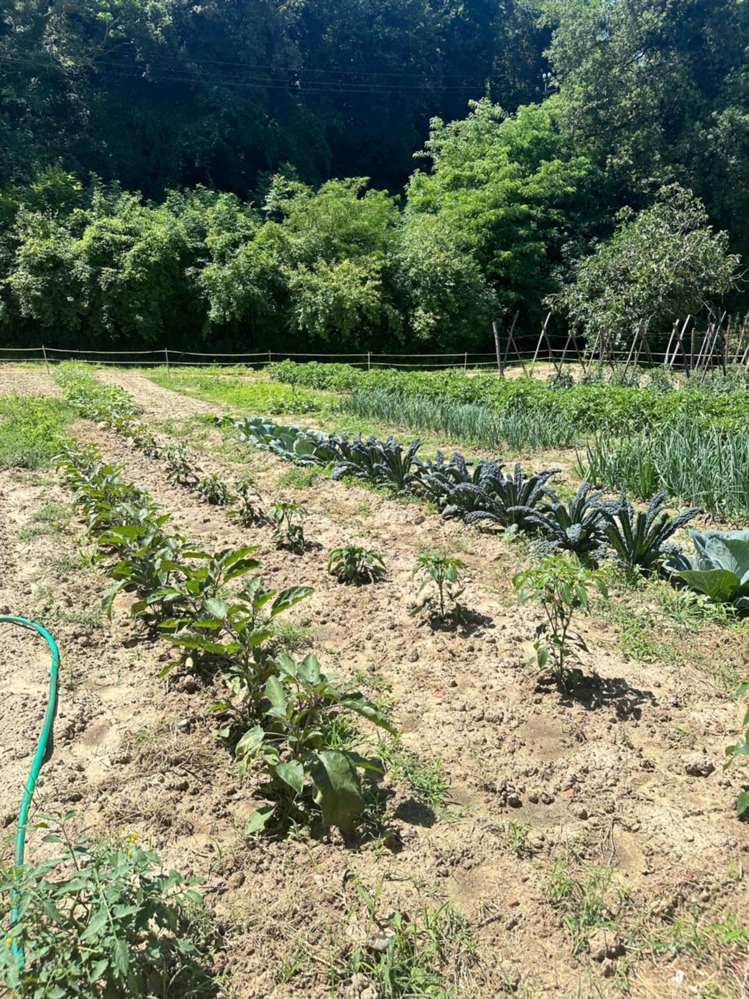 Agriturismo San Biagio Montepulciano Stazione 외부 사진