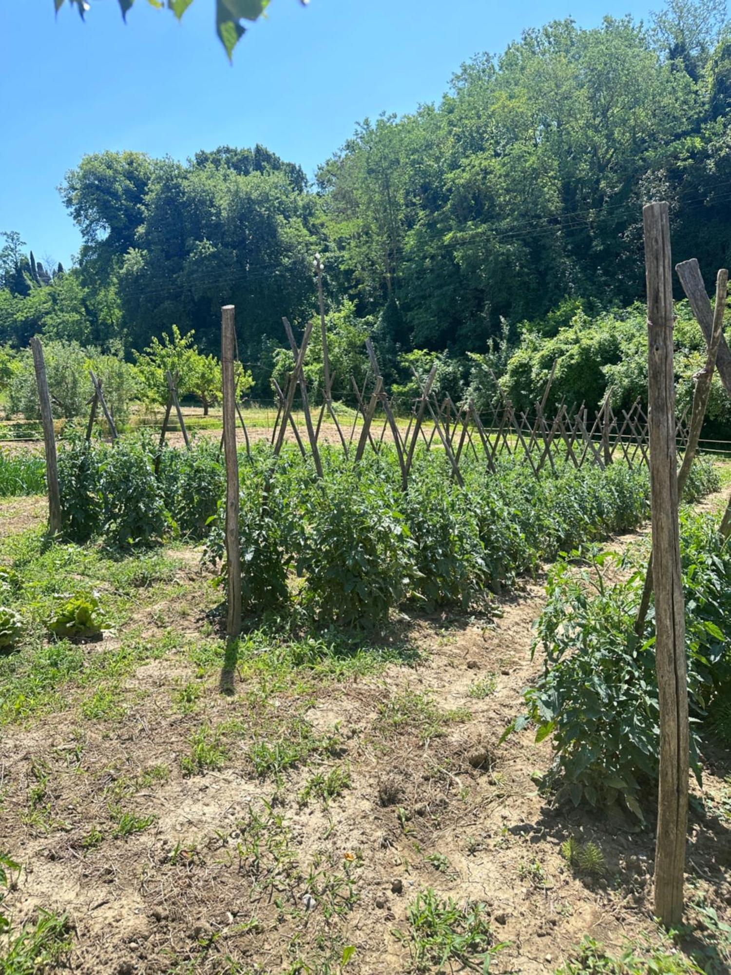 Montepulciano Stazione Agriturismo San Biagio 빌라 외부 사진