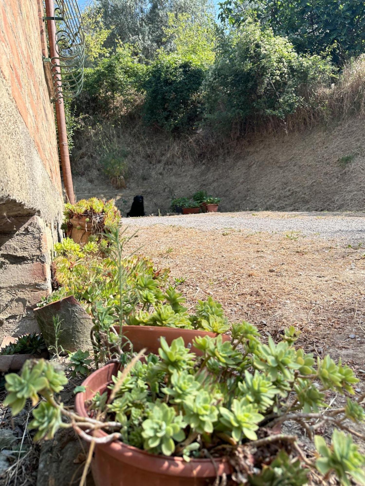 Agriturismo San Biagio Montepulciano Stazione 외부 사진