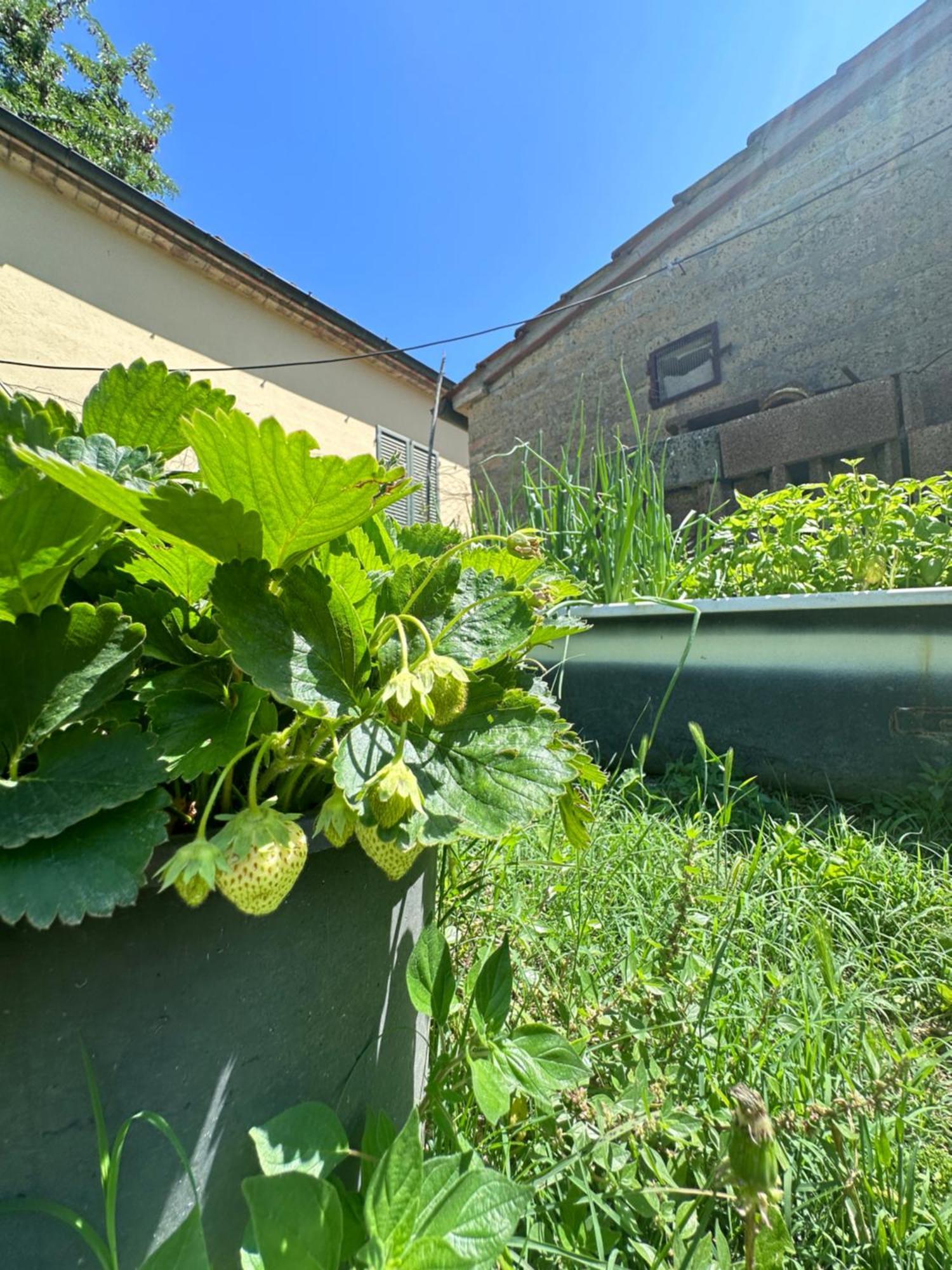Montepulciano Stazione Agriturismo San Biagio 빌라 외부 사진