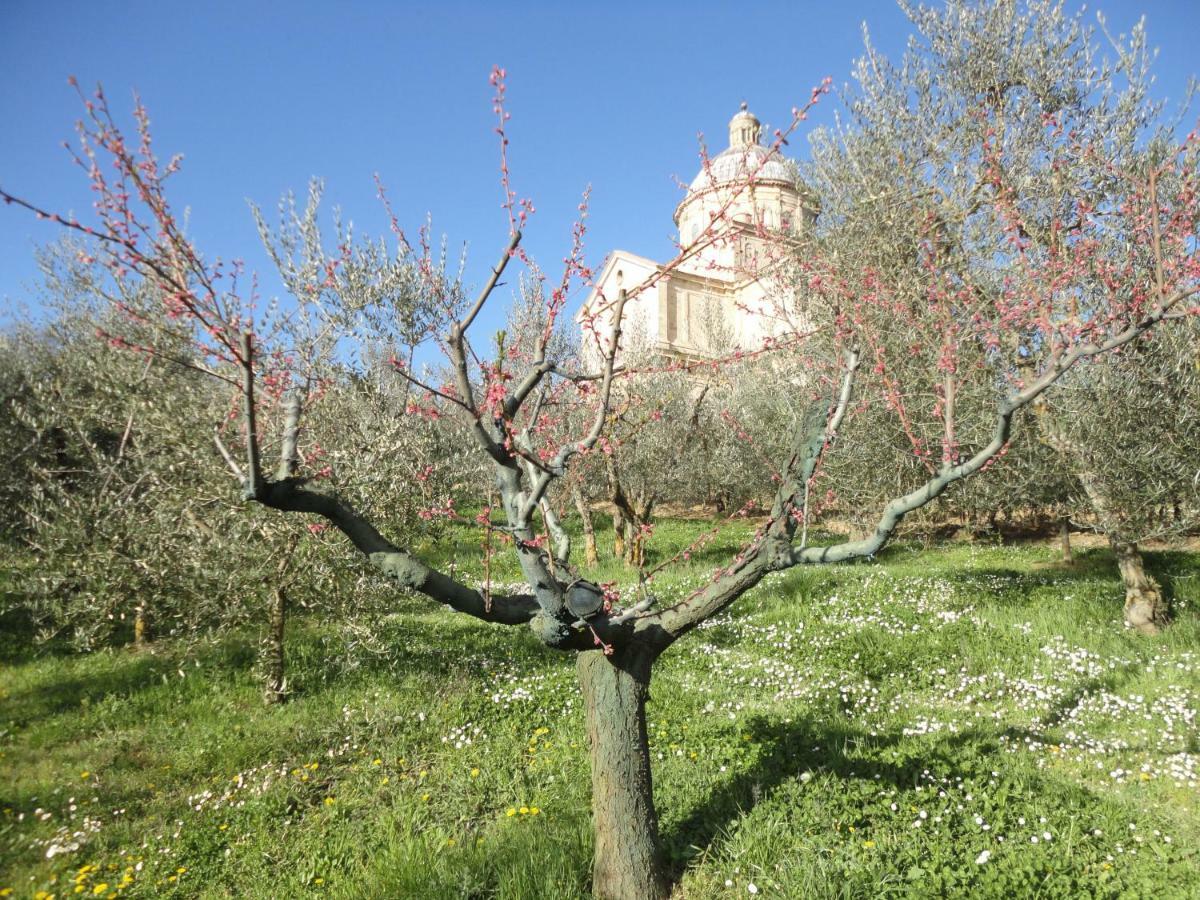 Agriturismo San Biagio Montepulciano Stazione 외부 사진