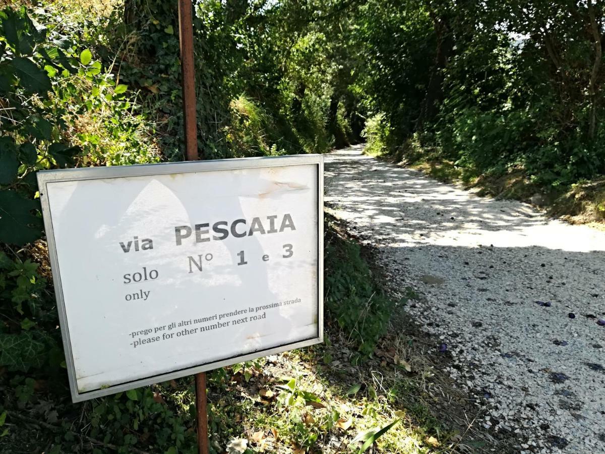 Agriturismo San Biagio Montepulciano Stazione 외부 사진